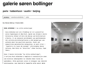galerie søren bollinger